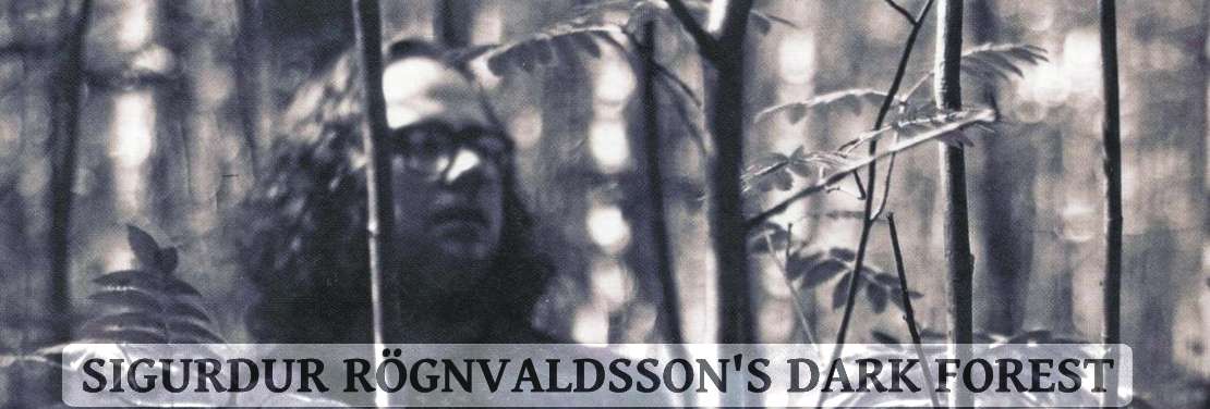 Sigurdur Rognvaldsson's Dark Forest | Ville Pynssi - drums